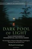 Richard Grossinger Dark Pool Of Light Volume 2 Consciousness In Psychospiritual And Psychic Rang 