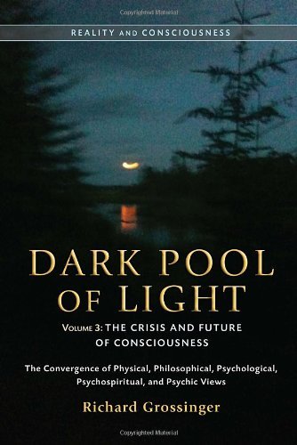 Richard Grossinger Dark Pool Of Light Volume Three The Crisis And Future Of Consciousness 