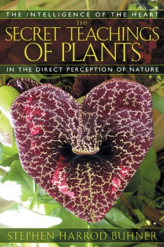Stephen Harrod Buhner Secret Teachings Of Plants The Sixteen Postures For Self Healing Through Quiet Y Original 