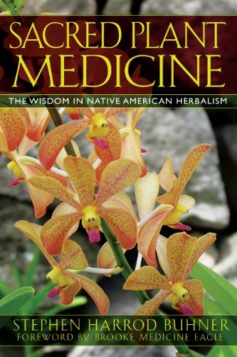 Stephen Harrod Buhner Sacred Plant Medicine The Wisdom In Native American Herbalism 0003 Edition;edition New 