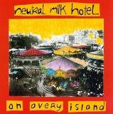 Neutral Milk Hotel On Avery Island 