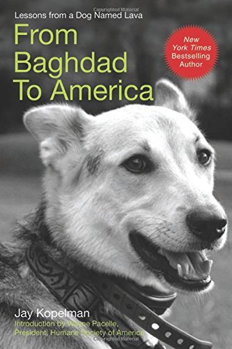 Jay Kopelman/From Baghdad to America@Life After War for a Marine and His Rescued Dog