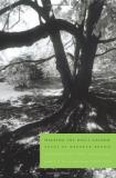Deborah Brown Walking The Dog's Shadow Poems 