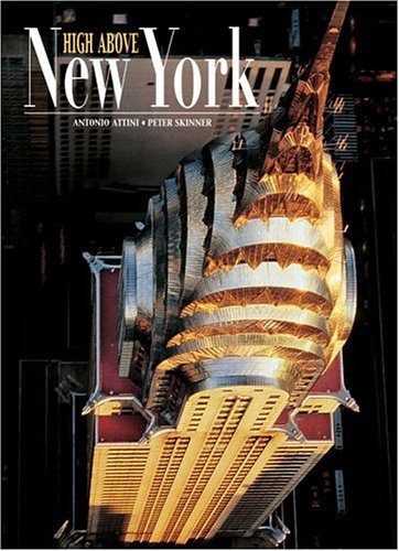 Peter Skinner High Above New York (world From The Air) 