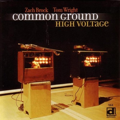COMMON GROUND/HIGH VOLTAGE