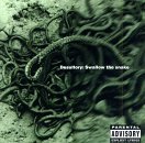 DESULTORY/SWALLOW THE SNAKE