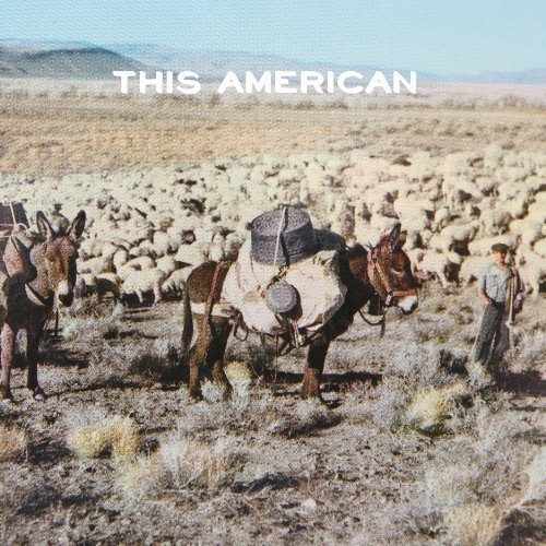 Joe Purdy This American 