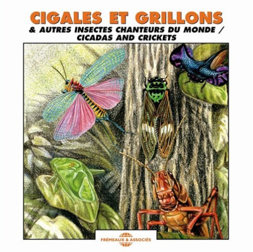 Cigales & Grillons/Et Autres Insectes Chanteurs D