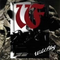 Wild Flag/Wild Flag@Import-Jpn