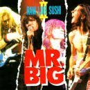 Mr. Big/Raw Like Sushi Ii