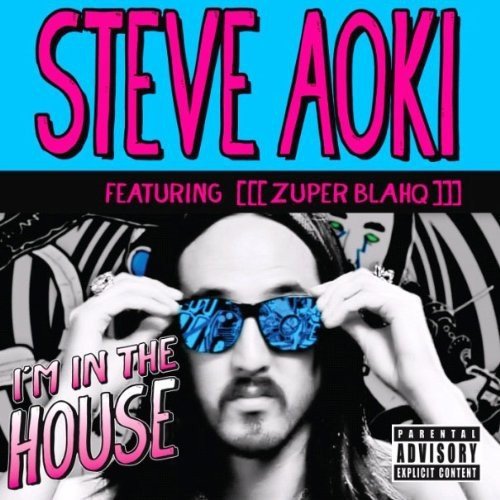 Steve Aoki/I'M In The House@Import-Gbr@I'M In The House
