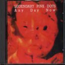 Legendary Pink Dots/Any Day Now@Import