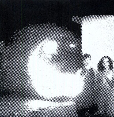Other Lives/Tamer Animals@Import-Gbr@LP
