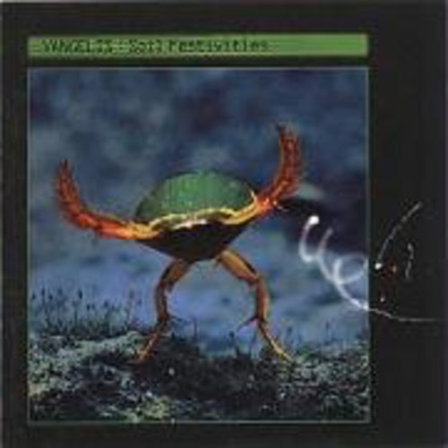 Vangelis Soil Festivities 