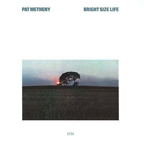 Pat Metheny Bright Size Life 