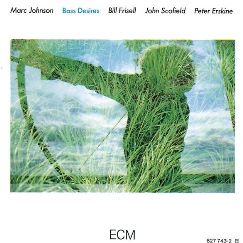 Marc Johnson/Bass Desires