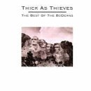 Bodeans/Thick As Thieves