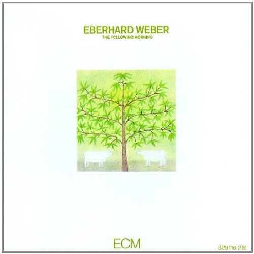WEBER,EBERHARD/FOLLOWING MORNING