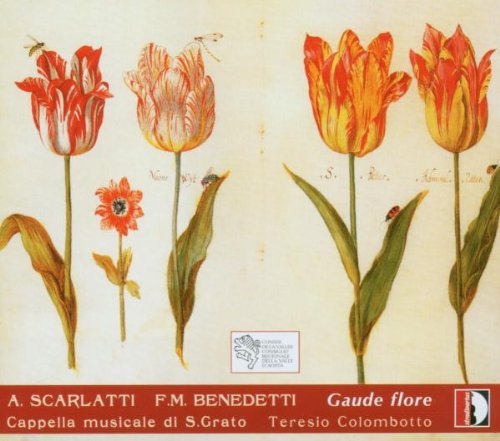 Scarlatti/Anon/Gaude Flore