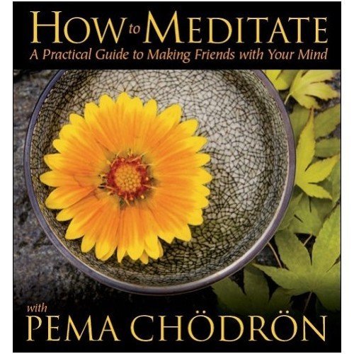 Pema Ch?dr?n How To Meditate With Pema Ch?dr?n A Practical Guide To Making Friends With Your Min 