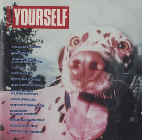 Various Artists/Tame Yourself
