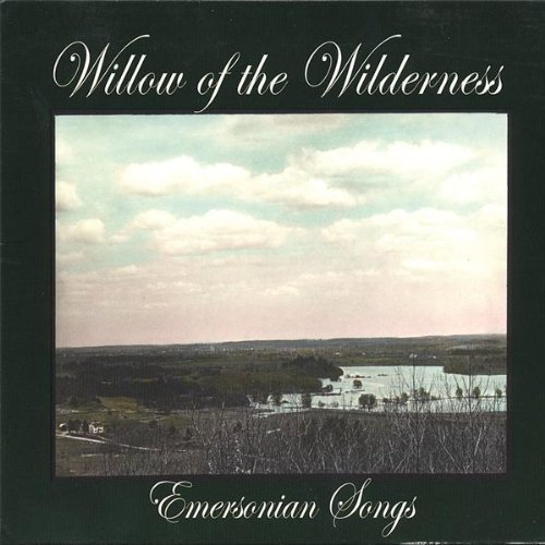 Dillon Bustin Willow Of The Wilderness 