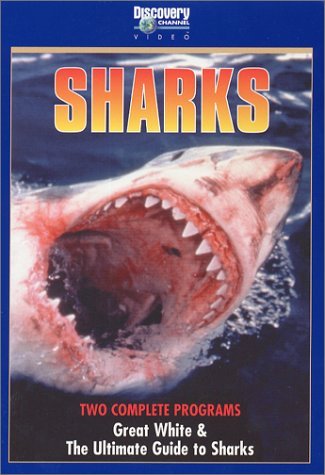 Great White/Ultimate Guide To/Great White/Ultimate Guide To@Clr@Nr/2-On-1
