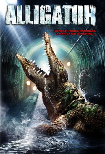 Alligator Alligator Ws R 