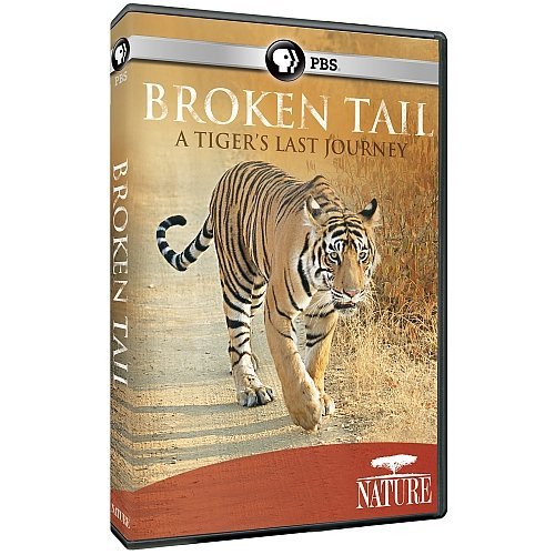 Broken Tail: A Tiger's Last Jo/Nature@Ws@Nr
