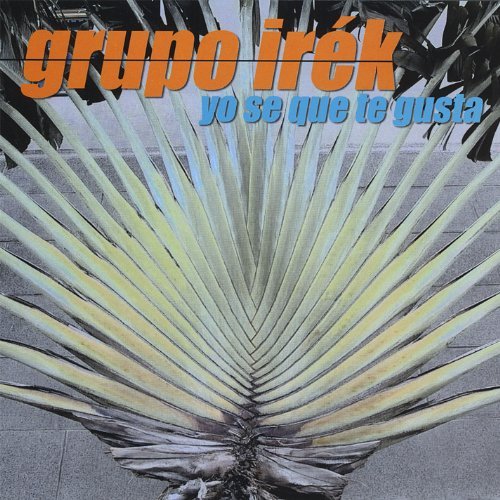 Grupo Irak/Yo Se Que Te Gusta