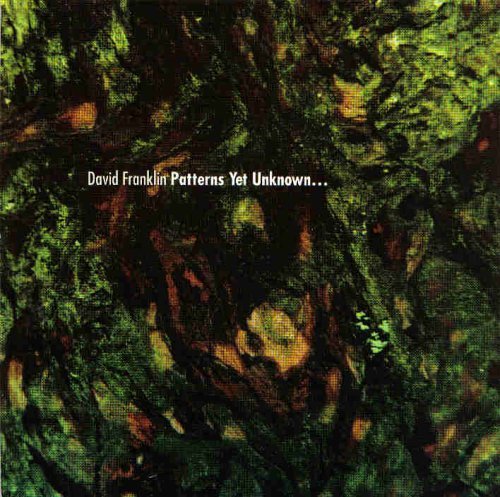 David Franklin/Patterns Yet Unknown
