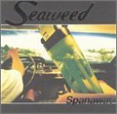 Seaweed/Spanaway