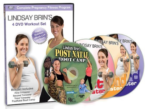 L Brin's Complete Pregnancy/L Brin's Complete Pregnancy@Nr/4 Dvd