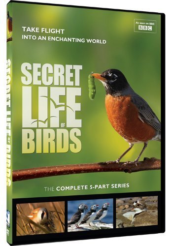 Secret Life Of Birds-5 Part Se/Secret Life Of Birds-5 Part Se@Ws@Tvg/2 Dvd