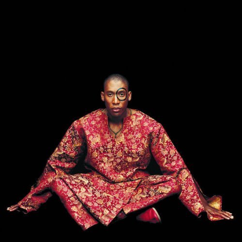 Raphael Saadiq/Instant Vintage