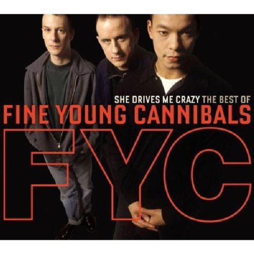 FINE YOUNG CANNIBALS/SHE DRIVES ME CRAZY: BEST OF F