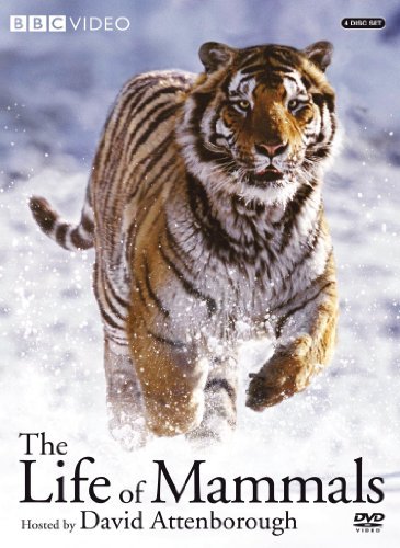 Life Of Mammals/Life Of Mammals