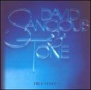 SANCIOUS,DAVID/TRUE STORIES & TONE