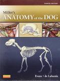 Howard E. Evans Miller's Anatomy Of The Dog 0004 Edition; 