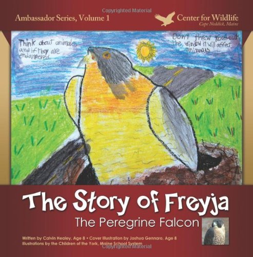 York Maine Students The Story Of Freyja The Peregrine Falcon 