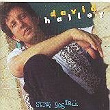 David Halley/Stray Dog Talk