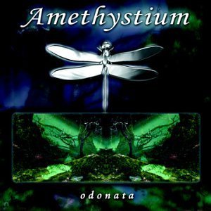 Amethystium/Odonata