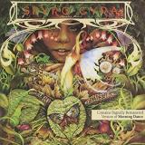 Spyro Gyra Morning Dance 