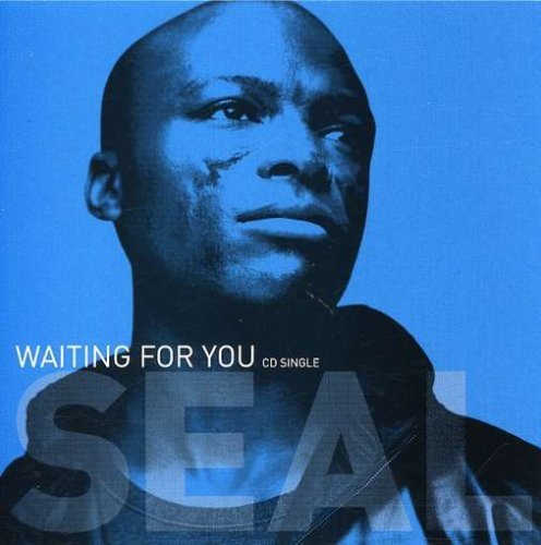 Seal/Waiting For You