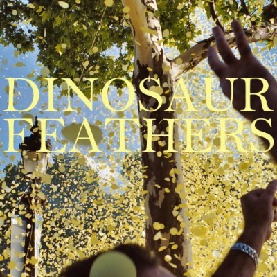 Dinosaur Feathers/Whistle Tips