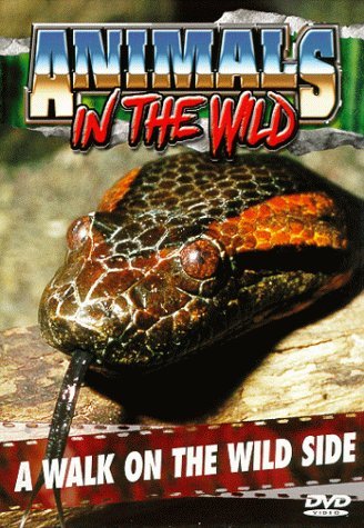 Walk On The Wild Side/Animals In The Wild@Clr/Keeper@Nr
