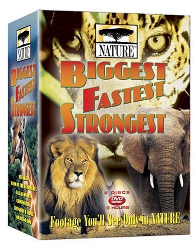 Biggest Fastest Stronge Nature Nr 