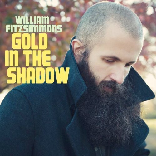 FITZSIMMONS,WILLIAM/GOLD IN THE SHADOW