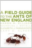 Aaron M. Ellison A Field Guide To The Ants Of New England 