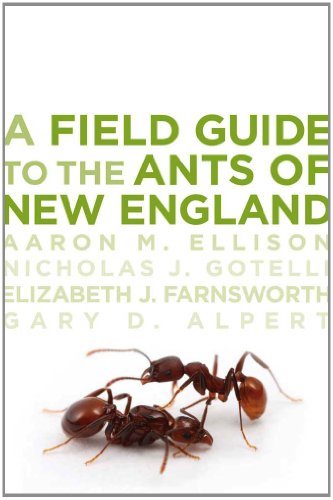Aaron M. Ellison A Field Guide To The Ants Of New England 